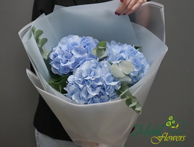 Bouquet of 3 blue hydrangeas and eucalyptus ( on order 10 days) photo